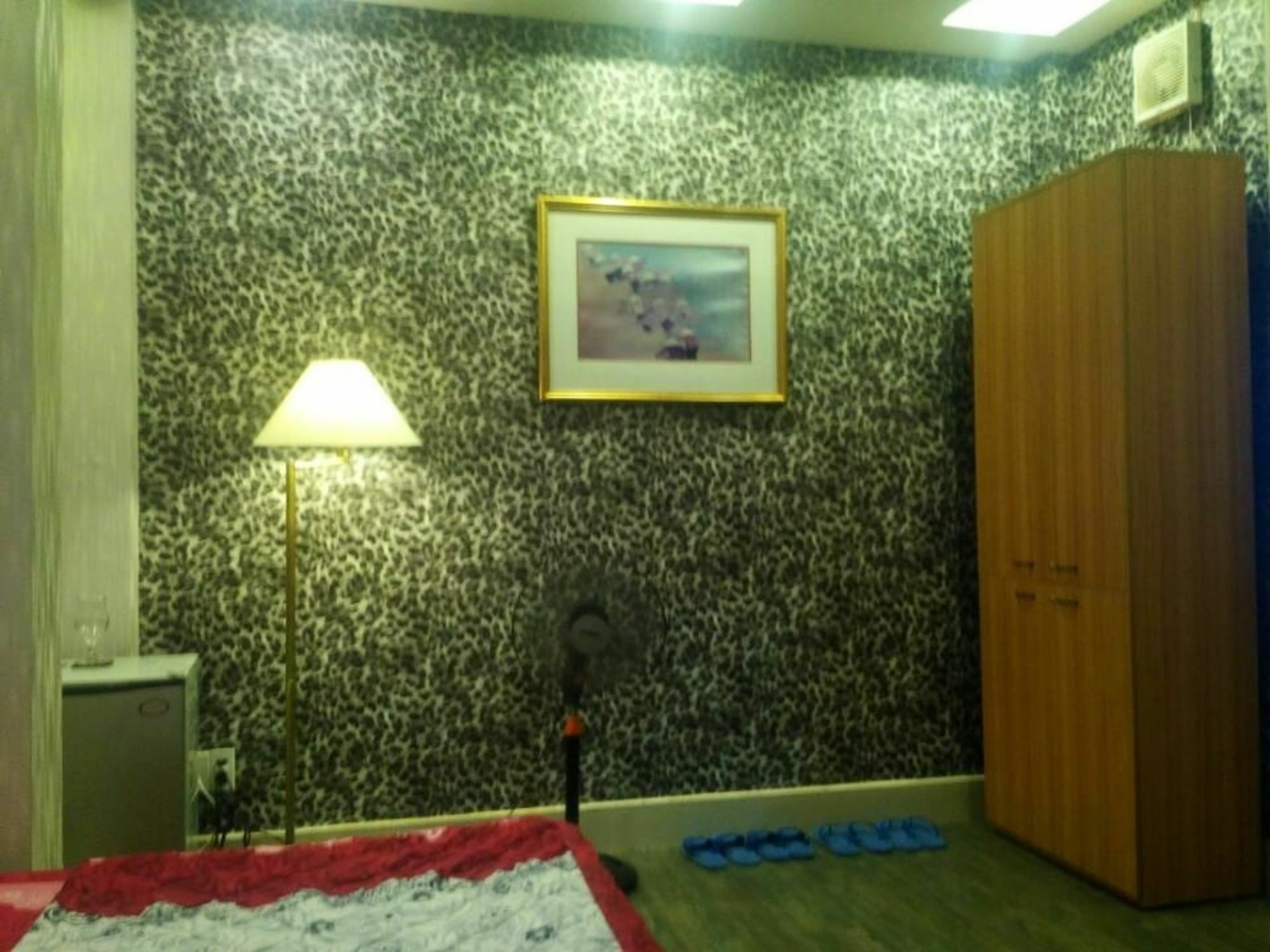 Venus Hotel - 2I1A Bạch Đằng P2 Tân Bình Hô Chi Minh-Ville Extérieur photo